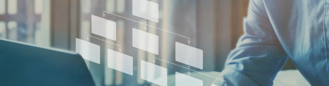 ORGANIZATION STRUCTURE